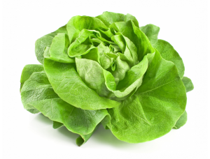 Salade